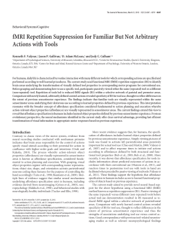 fMRI Repetition Suppression for Familiar But Not Arbitrary Actions