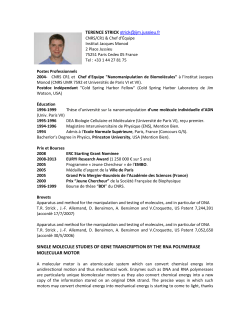 TERENCE STRICK strick@ijm