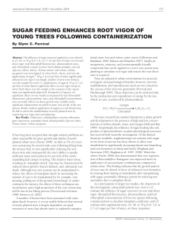 sugar feeding enhances root vigor of young trees following