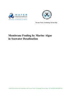 Membrane Fouling by Marine Algae in Seawater Desalination