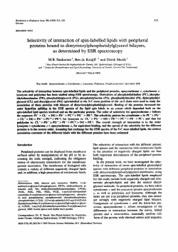 Selectivity of interaction of spin-labelled lipids with