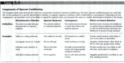 Components of Operant Conditioning
