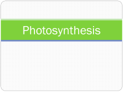 Photosynthesis - Cobb Learning