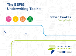 The EEFIG Underwriting Toolkit Steven Fawkes
