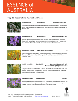 Top 10 Fascinating Australian Plants