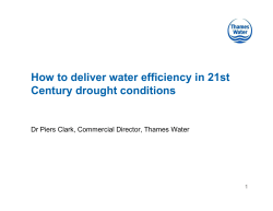 How to deliver water efficiency in 21st Century