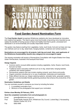 1998 spring festival