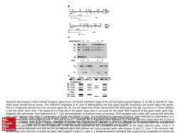 Slide 1 - Ommbid.com