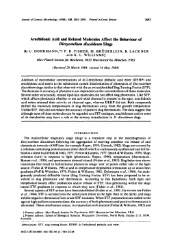 Arachidonic Acid and Related Molecules Affect the