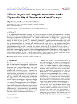 Effect of Organic and Inorganic Amendments on the Phytoavailability