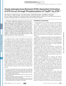 (ATM)-dependent Activation of ATR Occurs through Phosphorylation