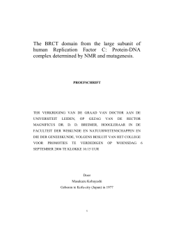 The BRCT domain from the large subunit of human Replication
