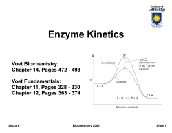 Enzyme Kinetics Enzyme Kinetics