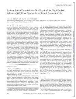 Sodium Action Potentials Are Not Required for Light
