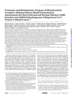 Proteomic and Metabolomic Analyses of Mitochondrial Complex I