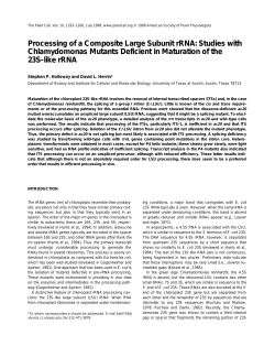 Processing of a Composite Large Subunit rRNA: Studies