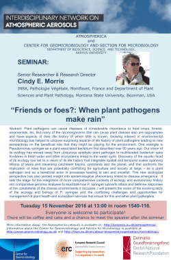 Friends or foes?: When plant pathogens make rain