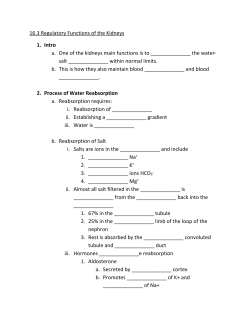 16.3 Regulatory Function of Kidneys
