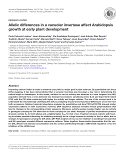 Allelic differences in a vacuolar invertase affect Arabidopsis growth