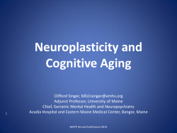 cognitive aging - University of New England