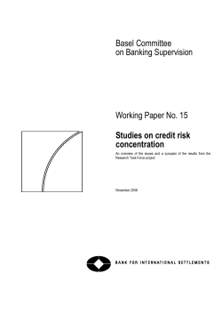 Studies on credit risk concentration