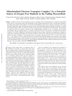 Mitochondrial Electron Transport Complex I Is a Potential Source of