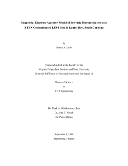 Sequential Electron Acceptor Model of Intrinsic