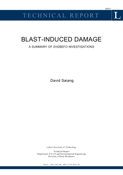 Blast-induced damage