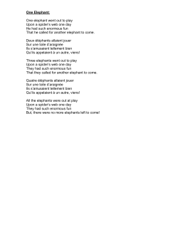 One Elephant: One elephant went out to play Upon a spider`s web