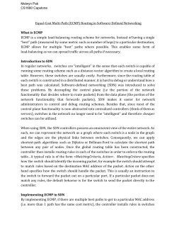 Equal-Cost Multi-Path (ECMP) Routing in Software