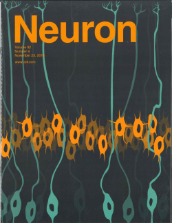Microcephaly Proteins Wdr62 and Aspm Define a Mother Centriole