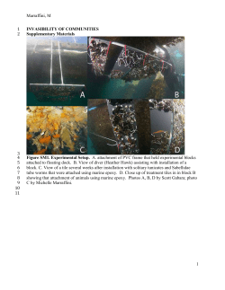 Marraffini, M Marraffini, M INVASIBILITY OF COMMUNITIES