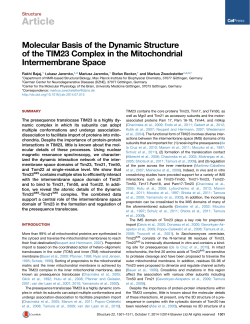 Molecular Basis of the Dynamic Structure of the TIM23 Complex in