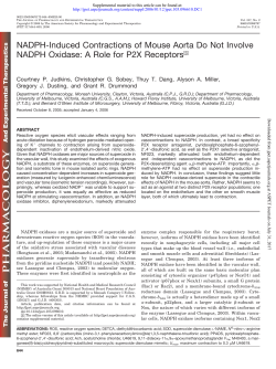 NADPH-Induced Contractions of Mouse Aorta Do Not Involve