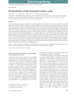 Predictability of the terrestrial carbon cycle