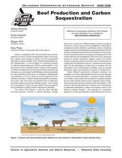 Beef Production and Carbon Sequestration