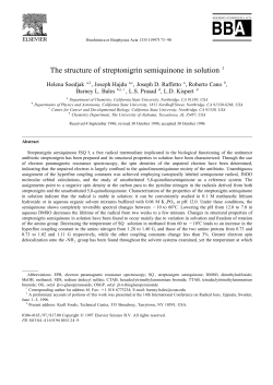 The structure of streptonigrin semiquinone in solution 1