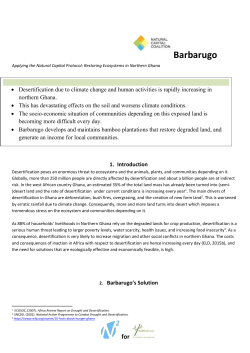 Barbarugo Business plan