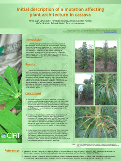 Initial description of a mutation affecting plant architecture in