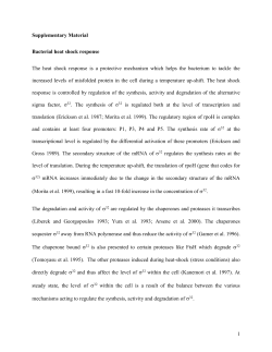 Template for Electronic Submission to ACS Journals