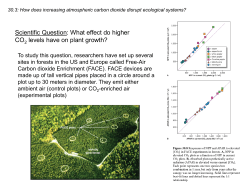 30.3: How does increasing atmospheric carbon