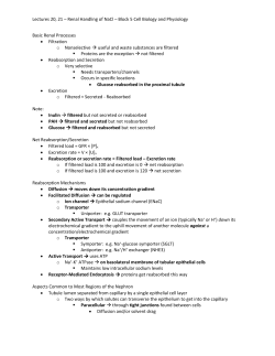Lectures 20, 21 &ndash; Renal Handling of NaCl &ndash; Block 5 Cell Biology