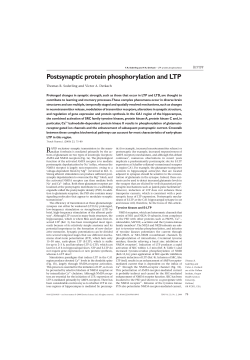 Postsynaptic protein phosphorylation and LTP