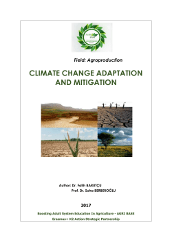 Climate Change Adaptation and Mitigation