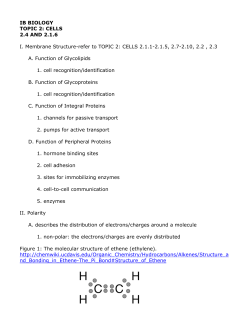 Cell Membrane Transport