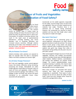 Food Safety Notes template