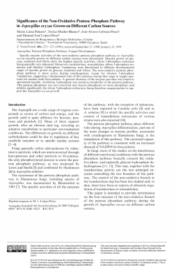 Significance of the Non-Oxidative Pentose Phosphate Pathway in