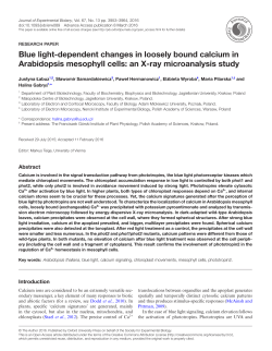 Blue light-dependent changes in loosely bound calcium in