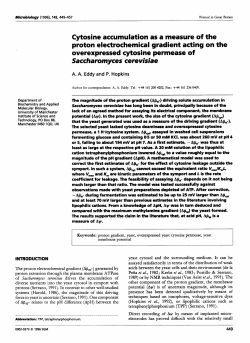 Cytosine accumulation as a measure of the proton electrochemical
