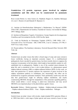 Accumulation of reduced sulphur in transgenic C2 plants